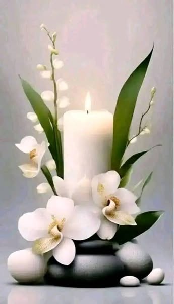 You are currently viewing Scott Kugler, Bertrand Man Fatally Injured in Kearney County Train-Vehicle Collision